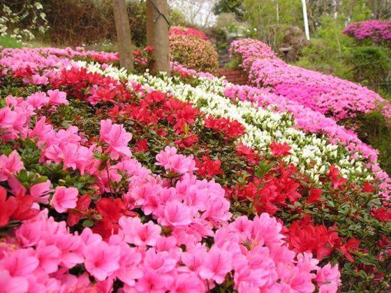 Pension Wave Inn 伊東市 エクステリア 写真