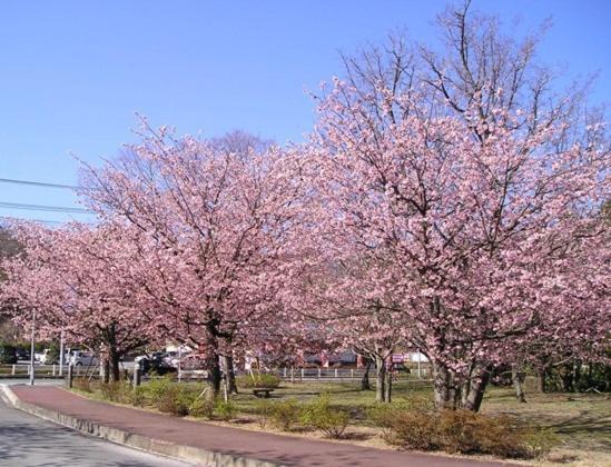 Pension Wave Inn 伊東市 エクステリア 写真